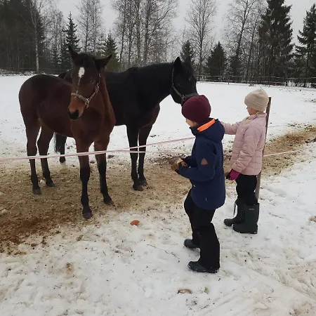 Chalé Pistoretki Toivakka